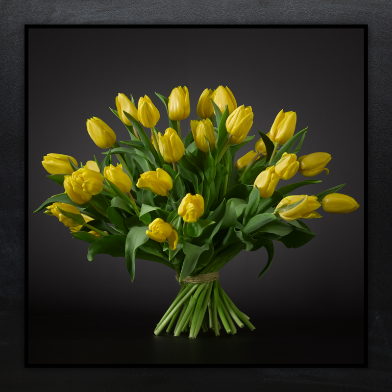 Gele Tulpen Boeket "STRONG GOLD"