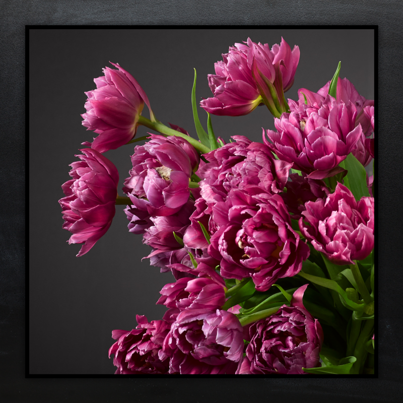 Roze Tulpen Boeket "PINKPOP"