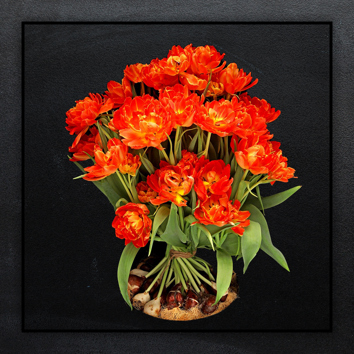 Dubbel Oranje tulpen met bol boeket, Aantal tulpen:: 20 Dubbel Oranje tulpen met bol - €27,95, Luxe schaal toevoegen?: Geen schaal