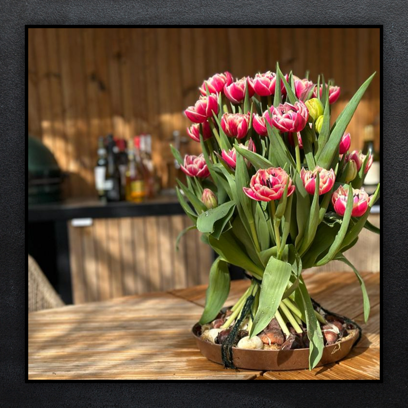 Dubbel Zalm roze tulpen met bol boeket