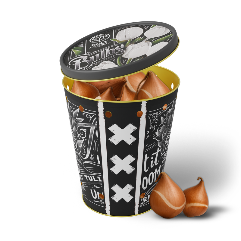 15x Weiße Tulpenzwiebeln in der „White Rebel“-Dose von BOLT Amsterdam! Elegante weiße Blumenzwiebeln direkt aus unserer eigenen Gärtnerei. 15x Weiße Tulpenzwiebeln in der „White Rebel“-Dose von BOLT Amsterdam! Elegante weiße Blumenzwiebeln direkt aus unserer eigenen Gärtnerei.