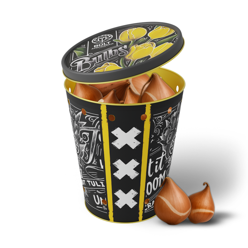 15x Gelbe Tulpenzwiebeln in der „Yellow Punk“-Dose von BOLT Amsterdam! Leuchtende gelbe Blumenzwiebeln direkt aus unserer eigenen Gärtnerei. 15x Gelbe Tulpenzwiebeln in der „Yellow Punk“-Dose von BOLT Amsterdam! Leuchtende gelbe Blumenzwiebeln direkt aus unserer eigenen Gärtnerei.