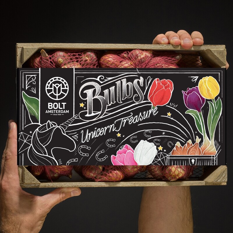 100x Tulpenbollen “UNICORN TREASURE” Kist – Kleurrijke Mix – Nieuwe Oogst – Hollandse kwaliteit bloembollen