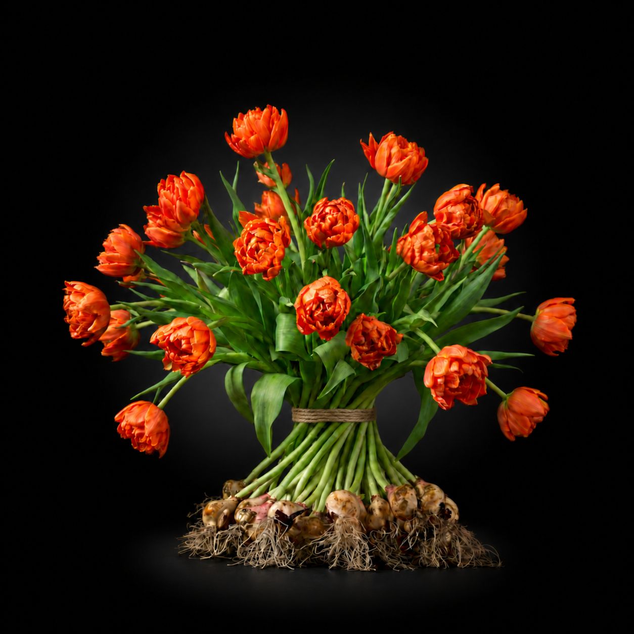 Dubbel Oranje tulpen met bol boeket, Aantal tulpen:: 20 Dubbel Oranje tulpen met bol - €27,95, Luxe schaal toevoegen?: Geen schaal