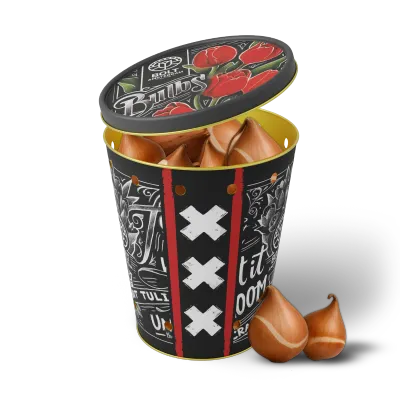 15x Red Tulip Bulbs in the “Red Rave” tin