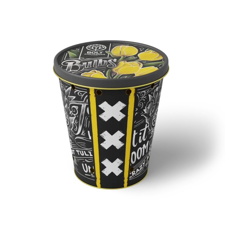 15x Yellow tulip bulbs in the "Yellow Punk" tin