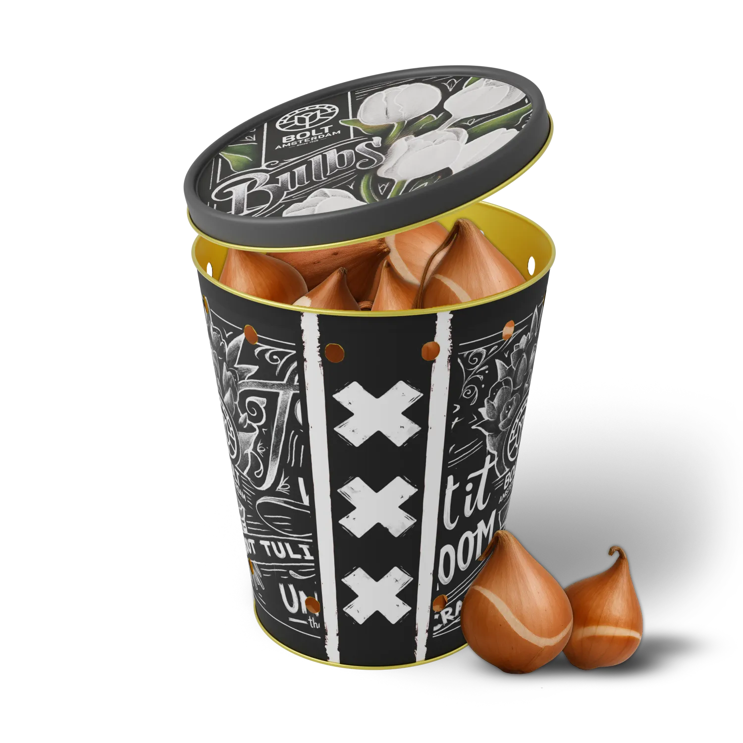 15x White tulip bulbs in the "White Rebel" tin