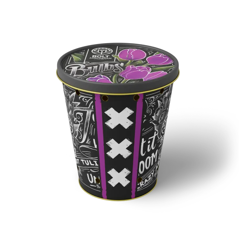 15x Purple tulip bulbs in the "Purple Punch" tin