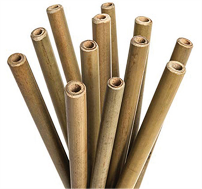 Boîte 24 pailles Bambou 10/12 mm x 200 mm