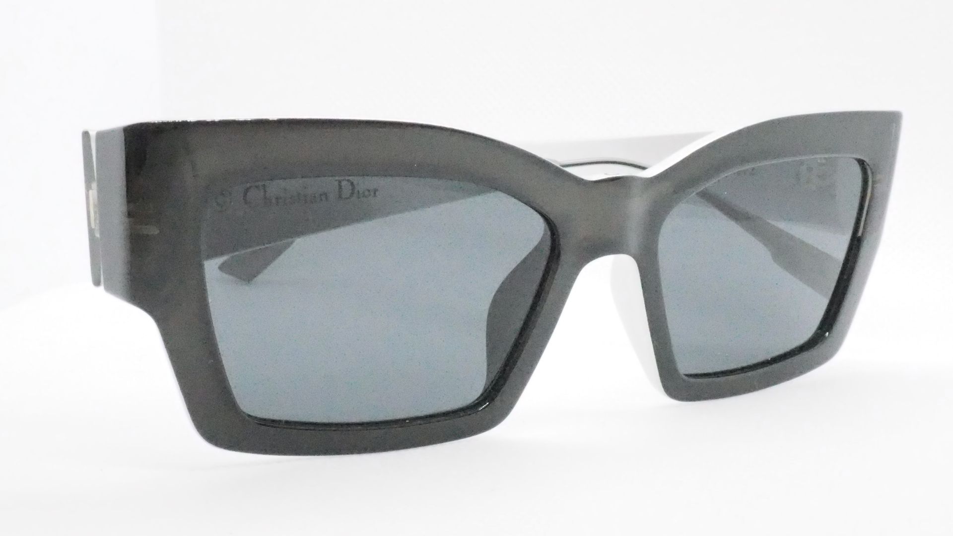 CHRISTIAN  DIOR  CatStyleDior2