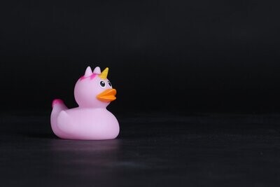 Les Canards & Culottes vibrantes