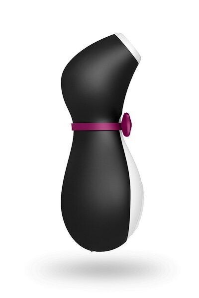 Mister Pingouin