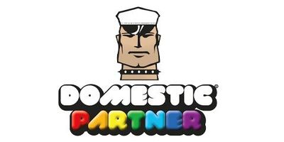 Domestic partner