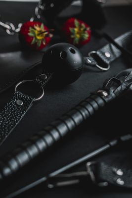 Les Colliers, Laisses & Ensembles