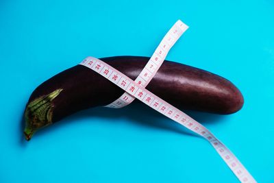 Les Développeurs & Gaines à penis