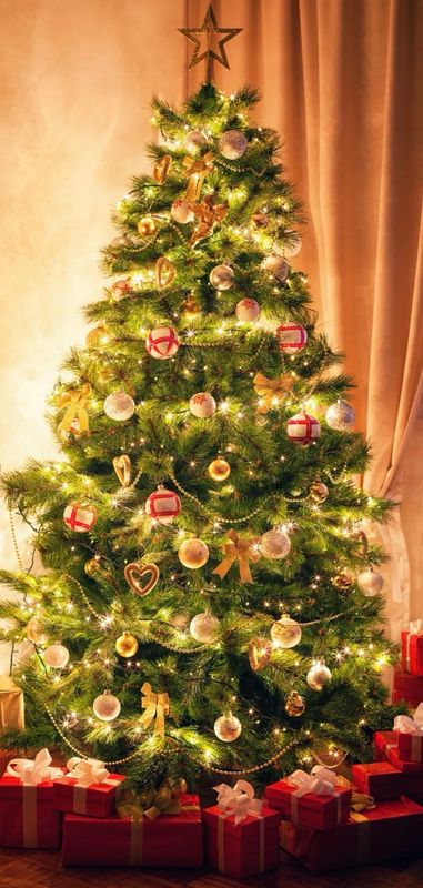 Cadet Store Closed For Christmas