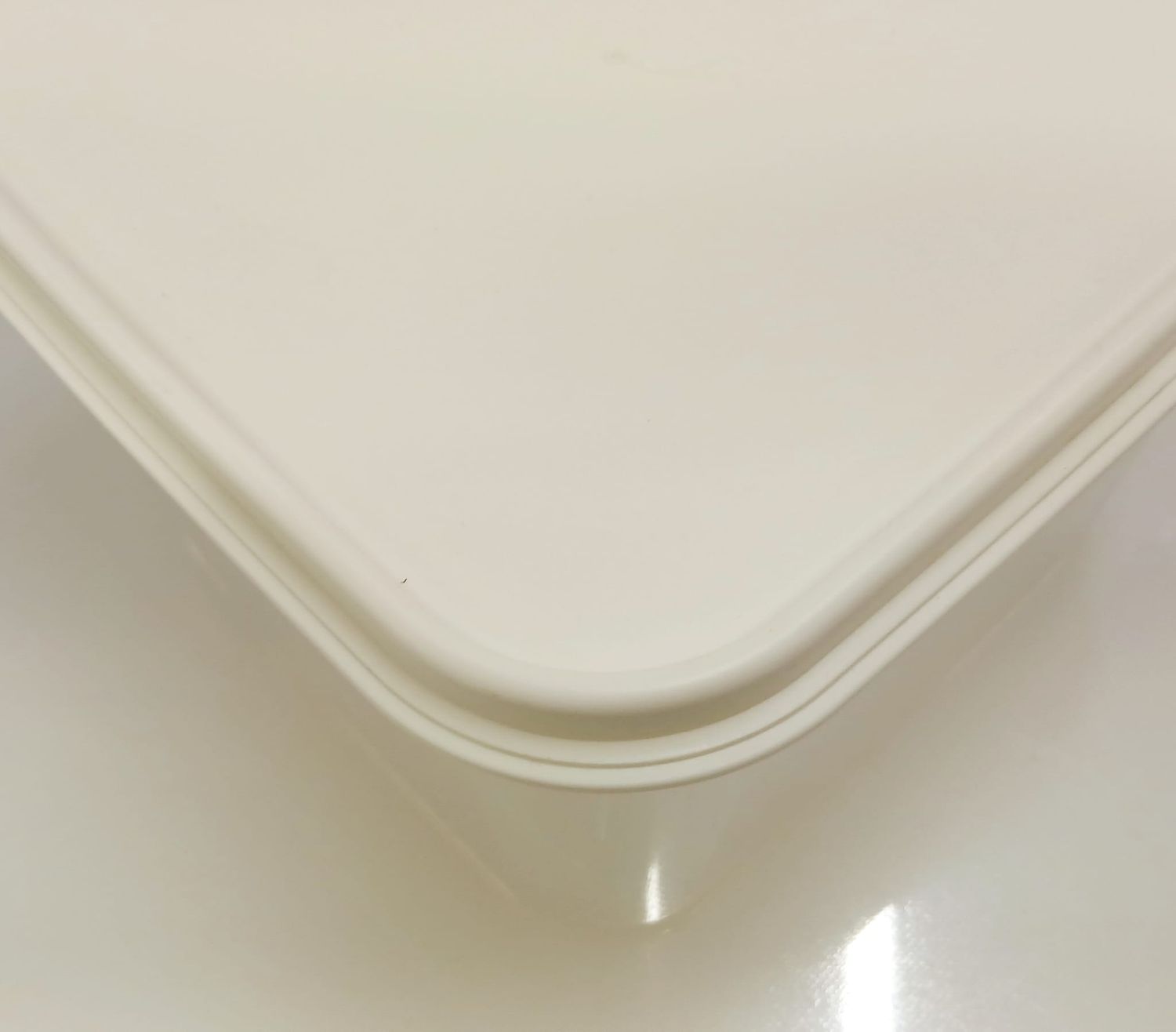 Contenitore per conservazione cibi rettangolare 27x17 h.12, Colore: BIANCO
