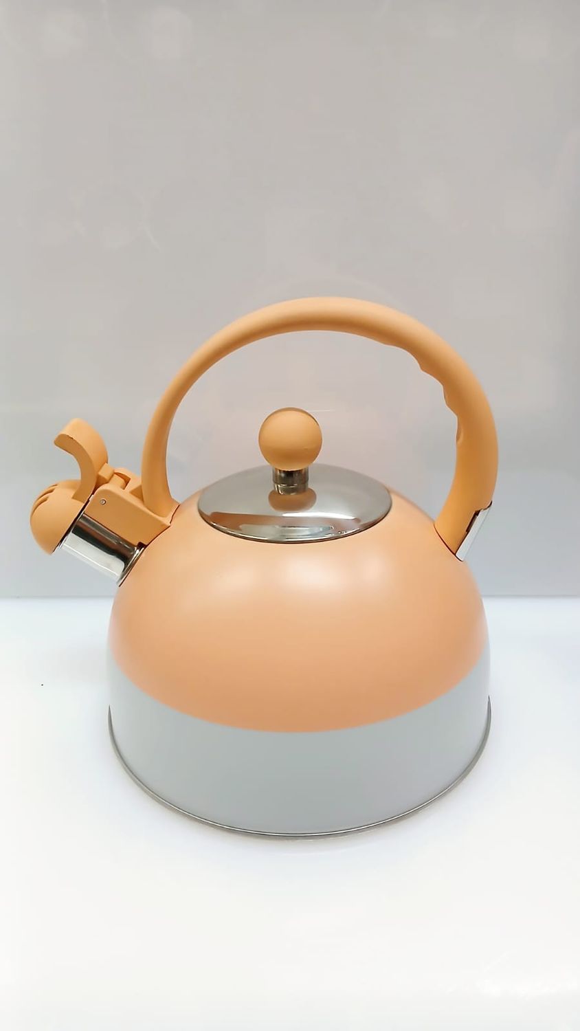 Bollitore acciaio inox smaltato lt. 2,5