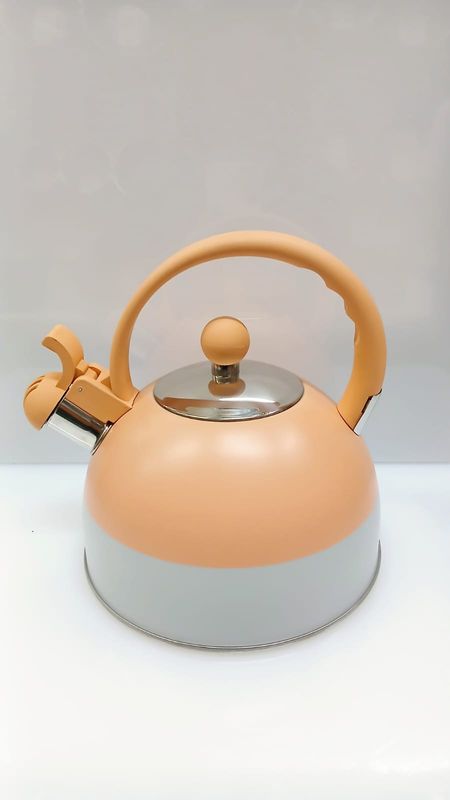 Bollitore acciaio inox smaltato lt. 2,5