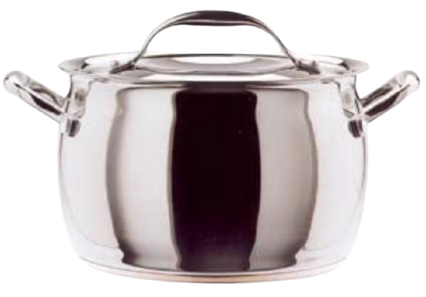 Pentola inox Bond Giannini con coperchio cm.24