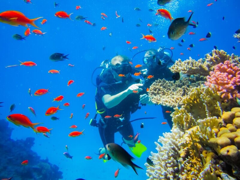 Advanced Open Water Diver (AOWD) Advanced Open Water Diver (AOWD)