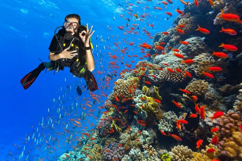 Master Diver