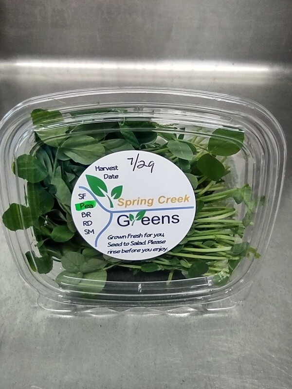 Microgreen Speckled Pea