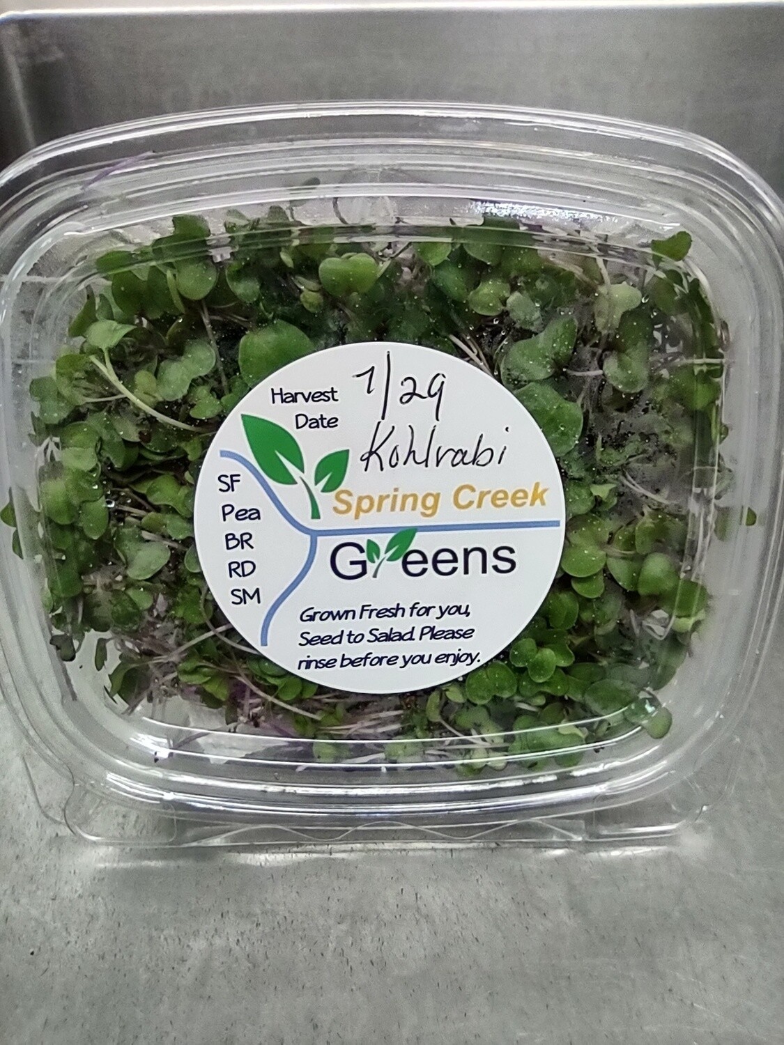 Microgreen Kohlrabi