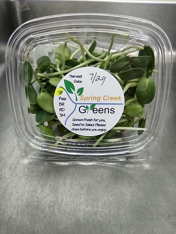 Microgreens Sunflower