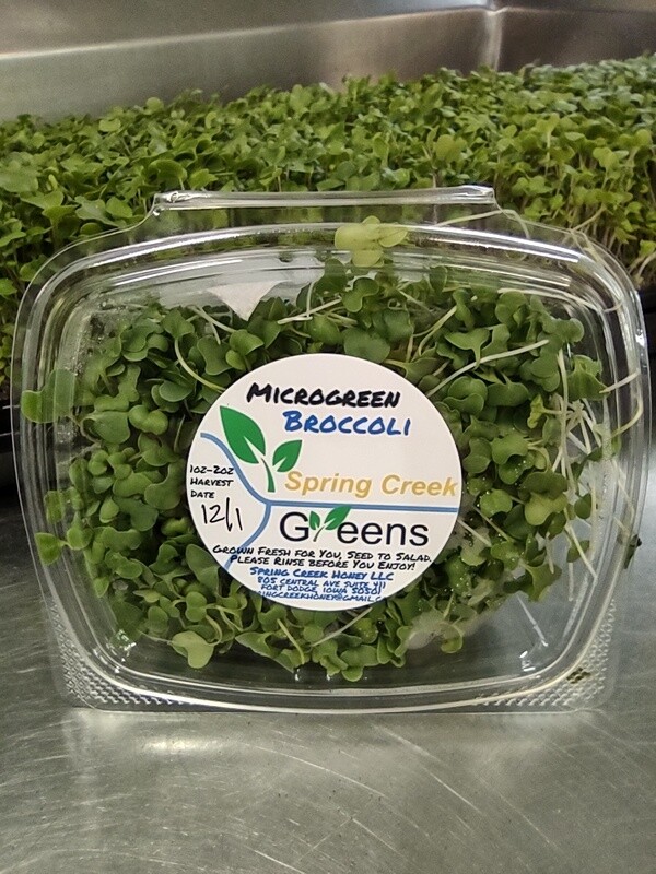 Microgreen Broccoli