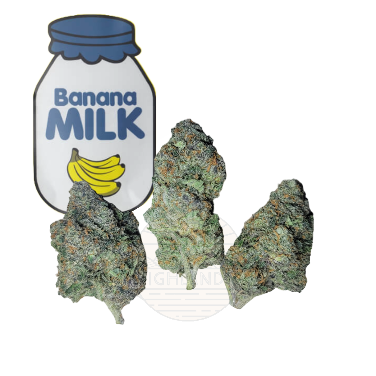 BB - Banana Milk