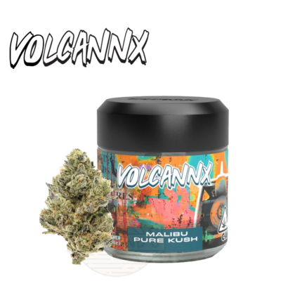 Volcannx -Malibu Pure Kush