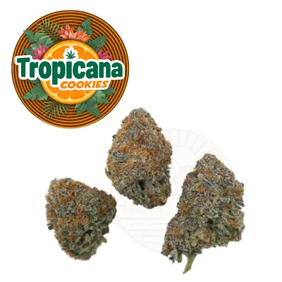 HL - Tropicana Cookies