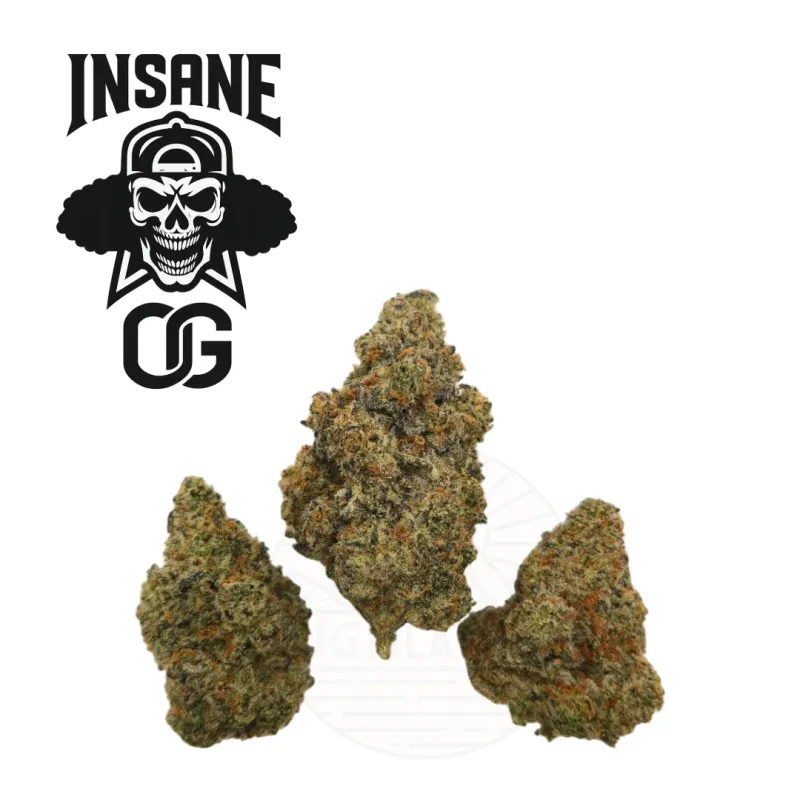 HL - Insane OG