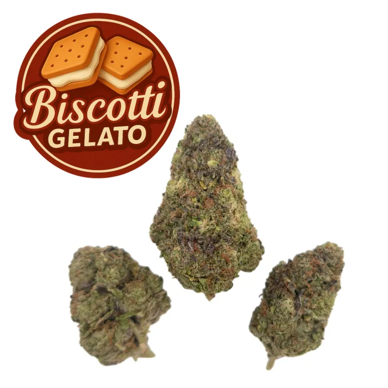 HL - Biscotti Gelato