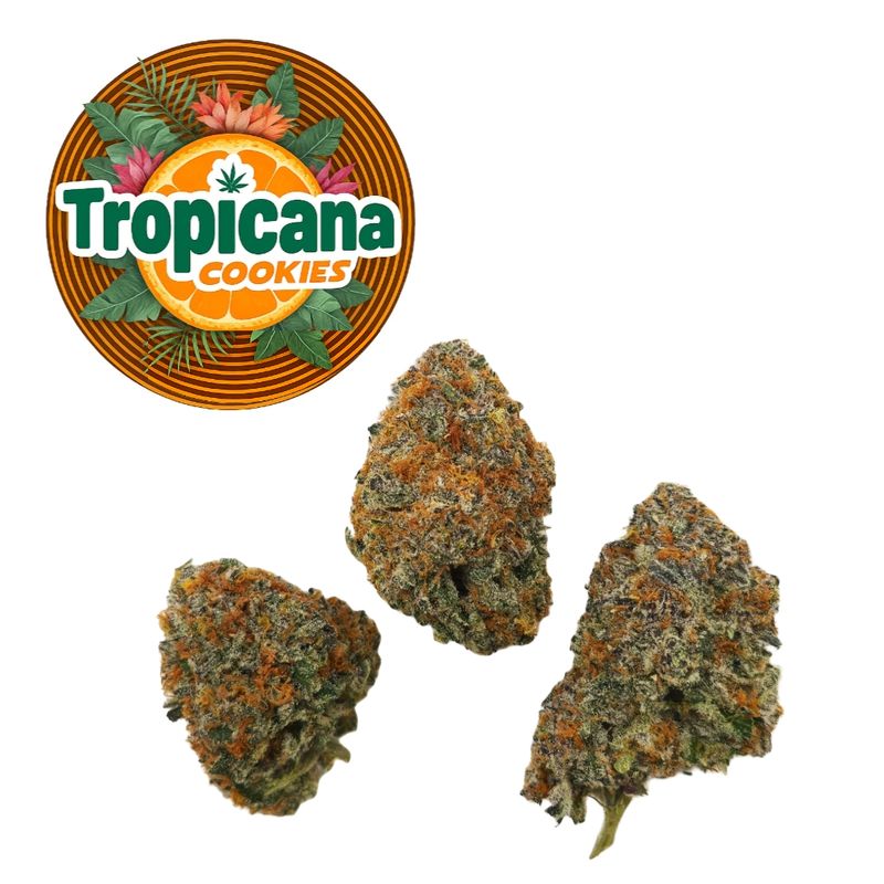 HL - Tropicana Cookies