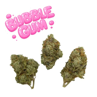 HL - Bubble Gum