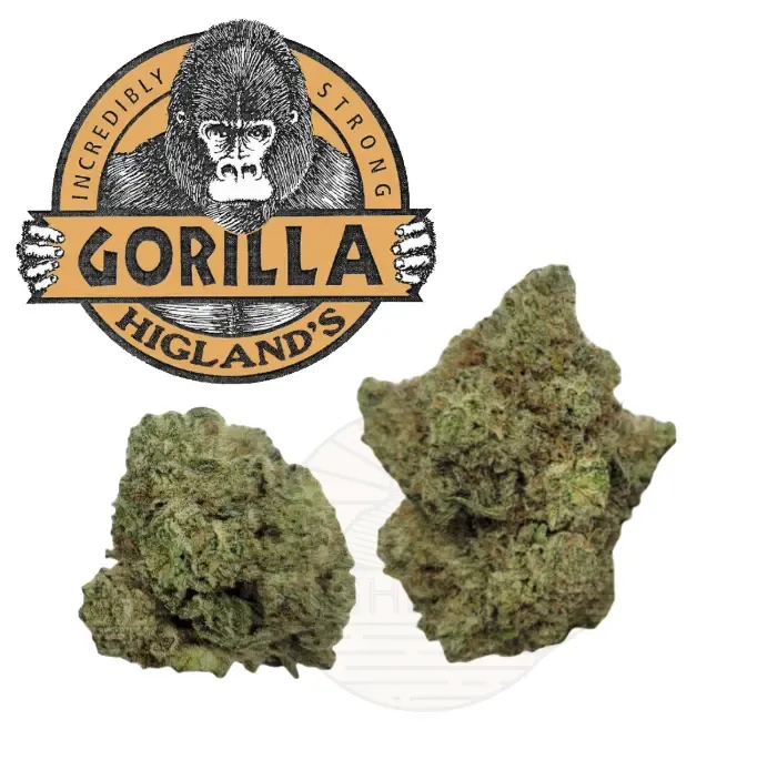 HL - Gorilla Glue
