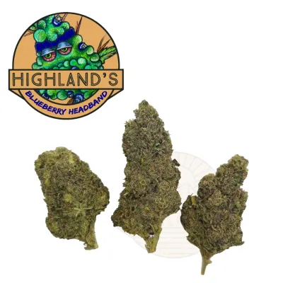 HL - Blueberry Headband