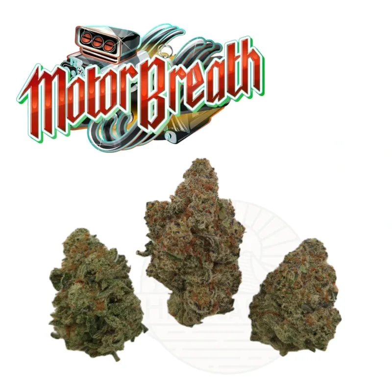 HL - Motor Breath