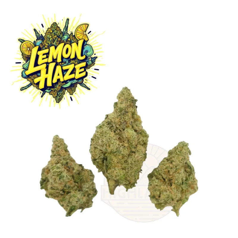 HL - Lemon Haze