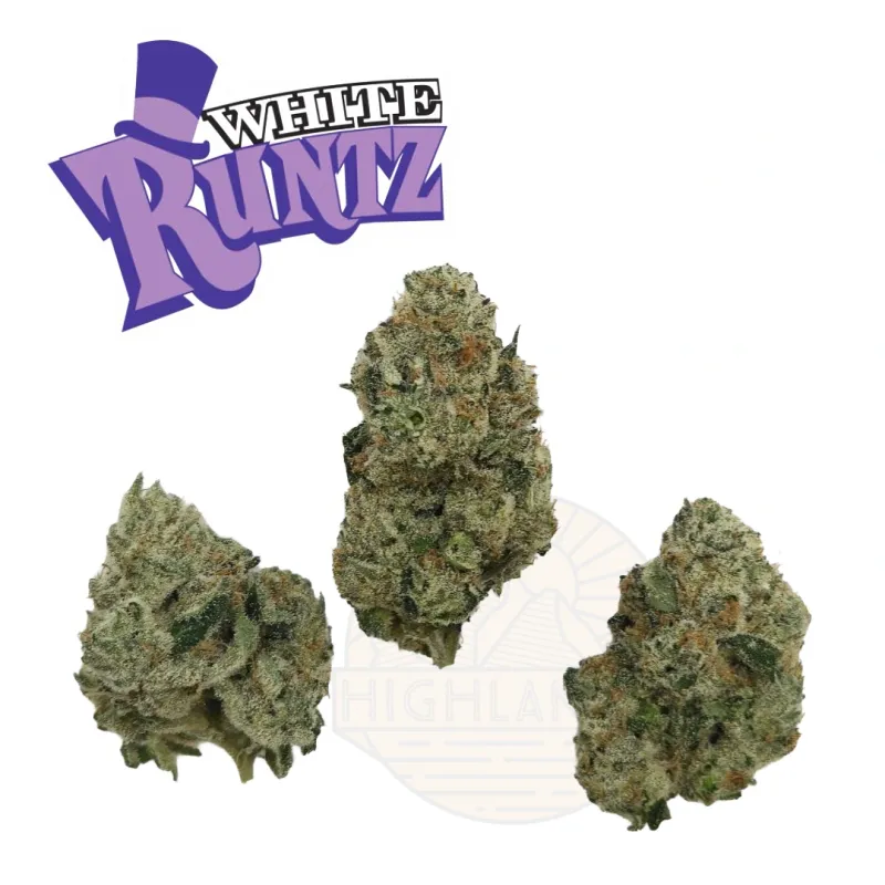 HL - White Runtz