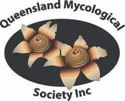 QMS Membership Renewal