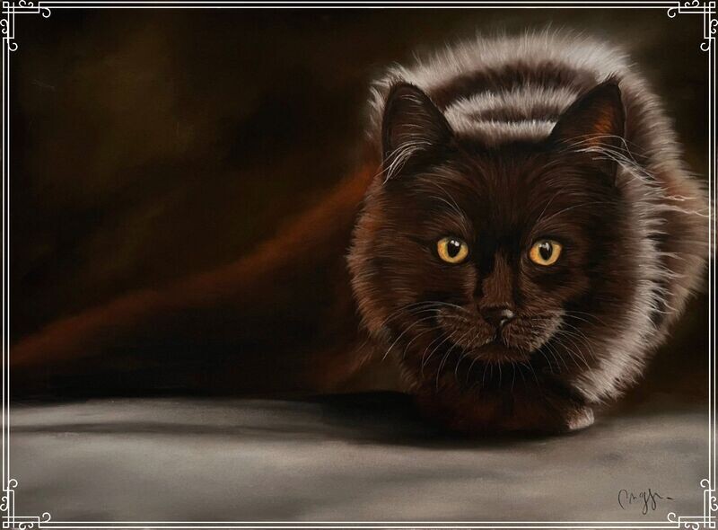 Apprendre à dessiner un chat à poils longs au pastel sec
