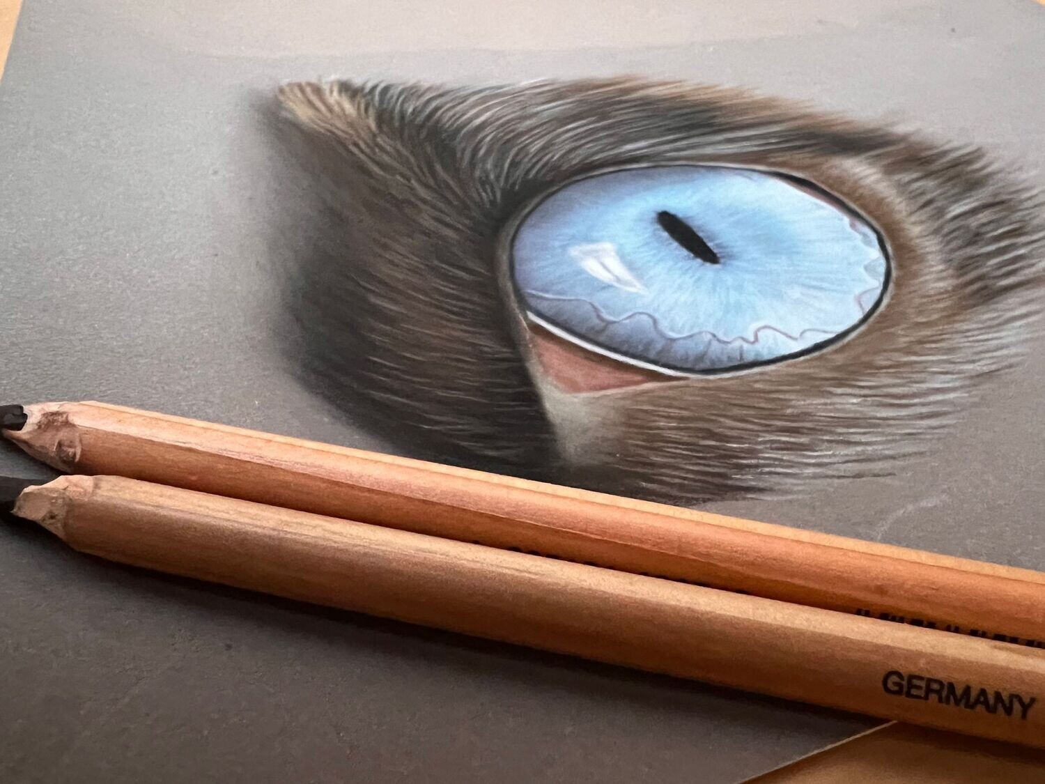 Réaliser l'oeil d'un chat siamois au pastel sec