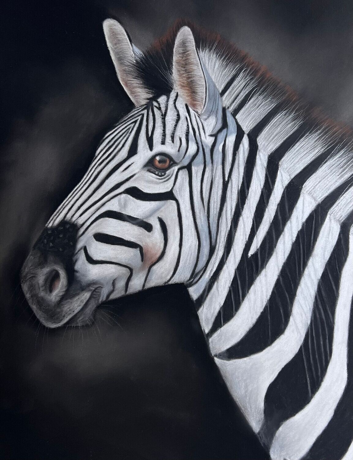 Réaliser un Zèbre au pastel sec / Cours en ligne