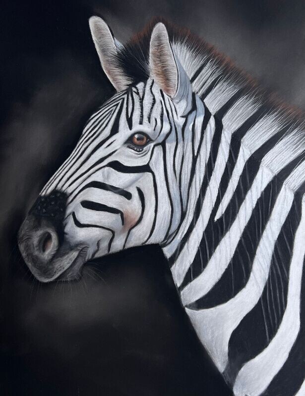 Réaliser un Zèbre au pastel sec / Cours en ligne