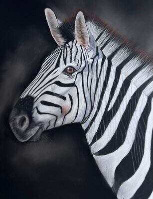 Réaliser un Zèbre au pastel sec / Cours en ligne