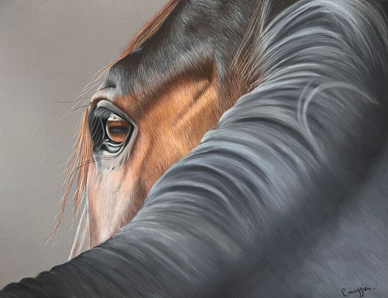 Réaliser le regard d'un cheval au pastel sec