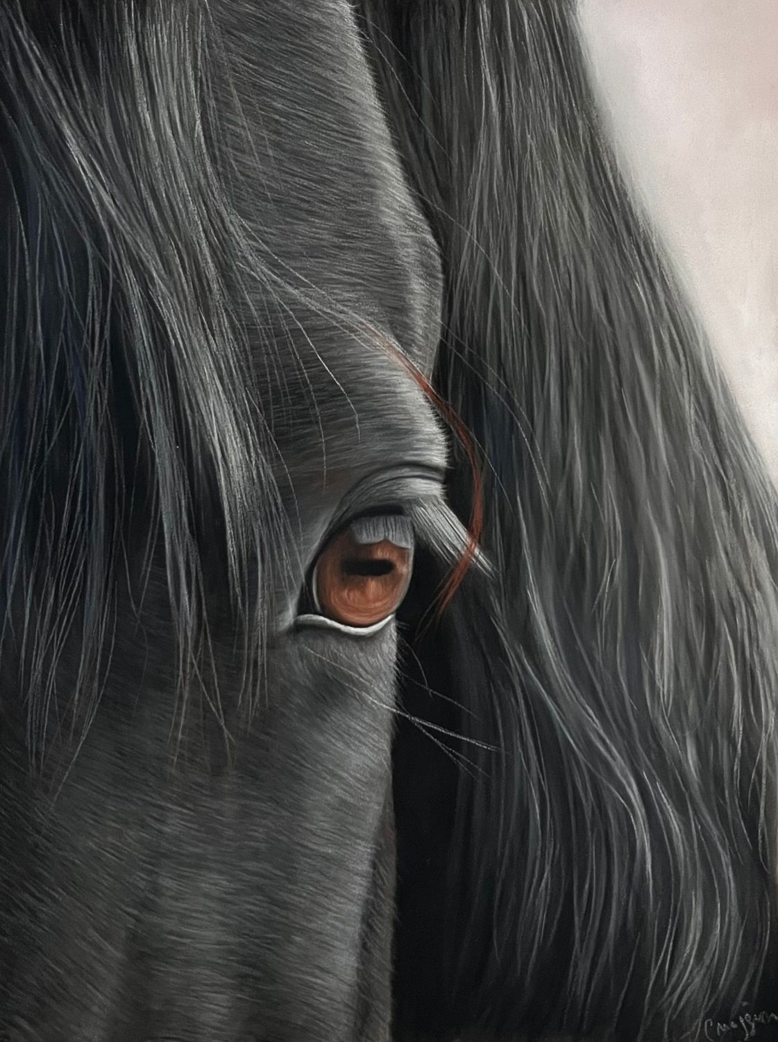 Réaliser un cheval noir au pastel sec / cours en ligne